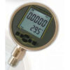 LDPG-01 Digital Reference Pressure Gauges