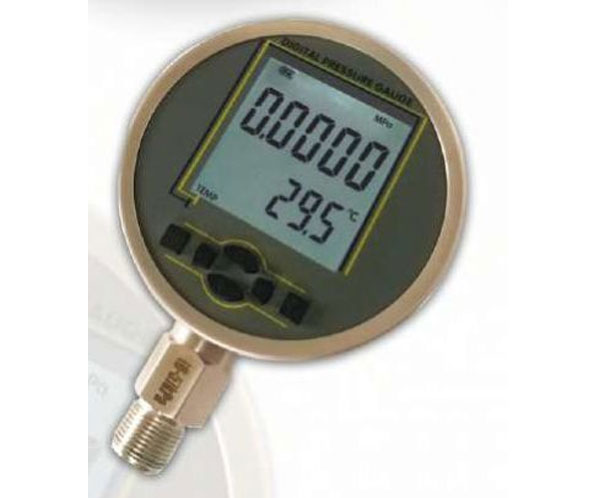 LDPG-01 Digital Reference Pressure Gauges