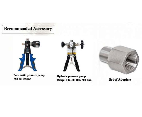 LDPG-01 Digital Reference Pressure Gauges